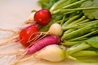 radish