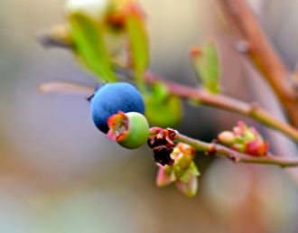 You know what this is...