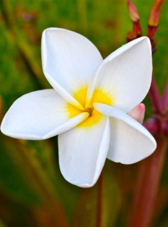 Rule #1: Think happy thoughts...