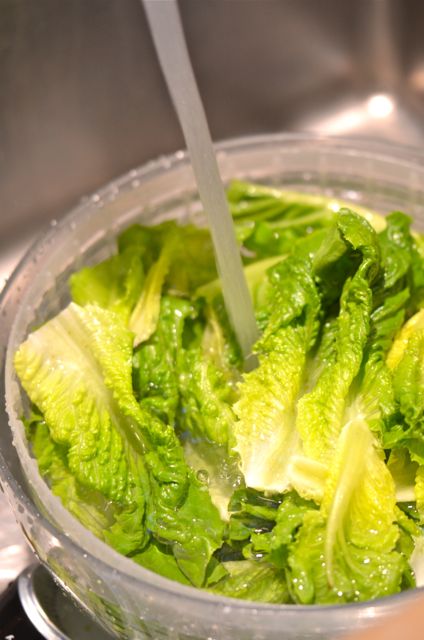 Attempting The Zuni Caesar Salad | Putney Farm